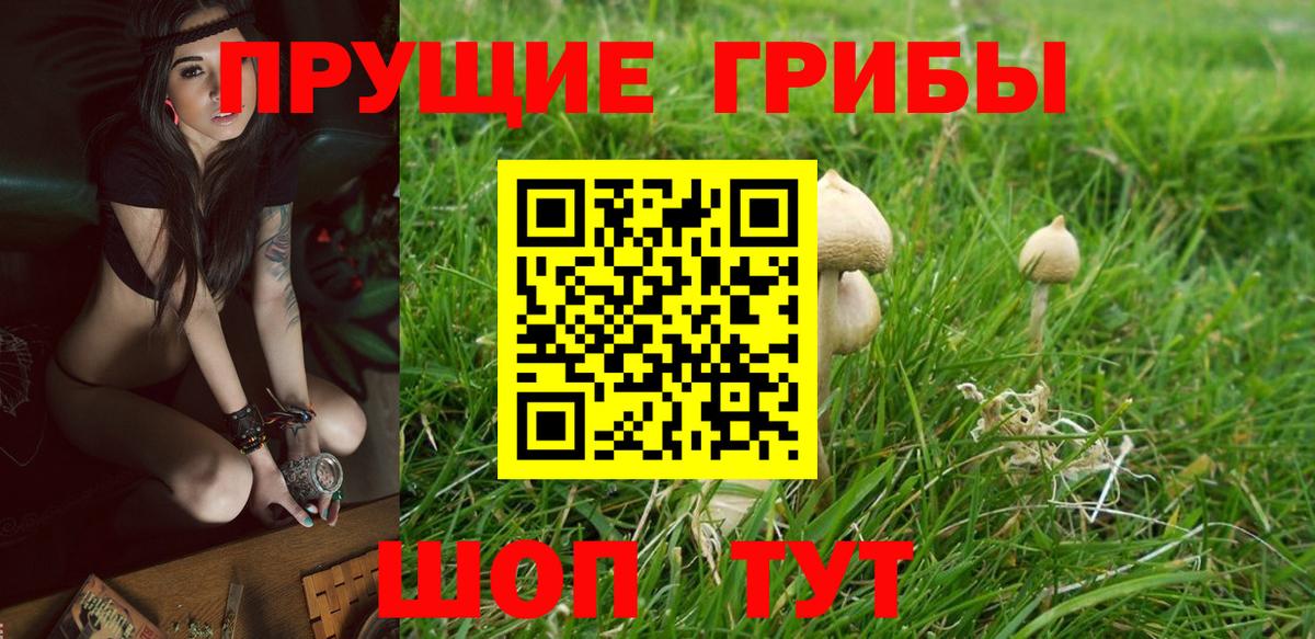 Псилоцибиновые грибы Psilocybine cubensis  Псилоцибиновые грибы Cubensis  Вход с VPN  Благодарный 